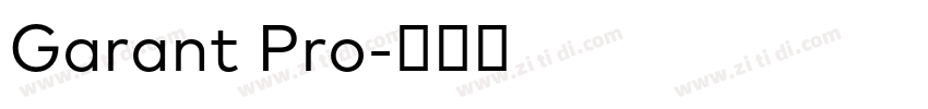 Garant Pro字体转换